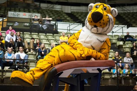 Just Chillin Truman The Mizzou Tiger Mascot Missouri Pinterest