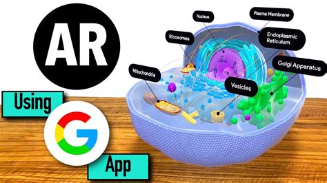 Animal Cell Augmented Reality Hologo The App That Lets You See