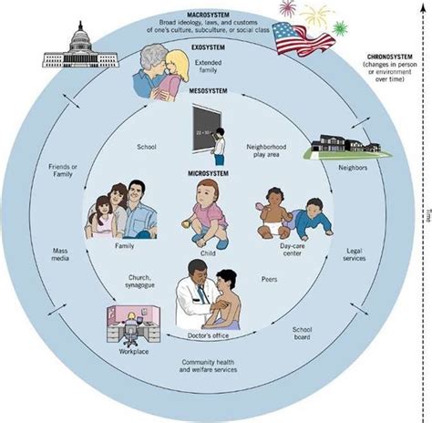 Bronfenbrenner's theory identified four systems within which children exist that would combine to have an impact upon how they grow and view this page on wikipedia for a diagram illustrating bronfenbrenner's ecological systems theory. Example graphic of ecological systems theory. Adapted from ...