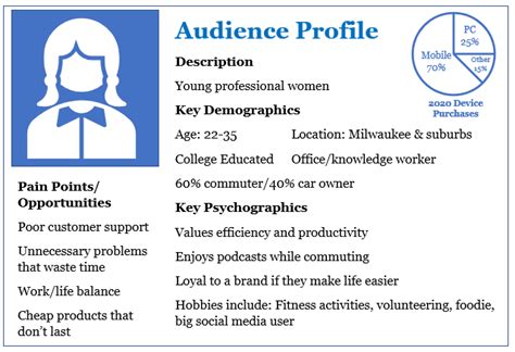 Target Audience Profile Example Social Bluebook