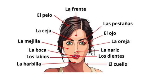Spanish Lesson Parts Of The Face In Spanish Partes De La Cara Youtube