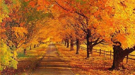 Desktop Wallpaper Fall Scenes ·① WallpaperTag