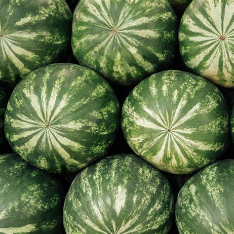 Top 10 How Do You Know When Watermelon Is Ripe