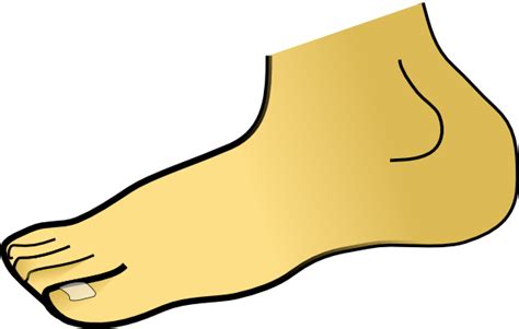 Free Feet Cliparts Download Free Feet Cliparts Png Images Free