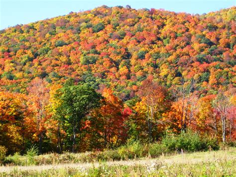 New Affordable Fall Foliage Hiking And Kayaking Vacations