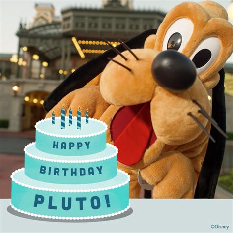 Cute Pluto Happy Birthday Birthday Disney World Magic Kingdom