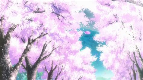 Cherry Blossom Tree Tumblr Background Anime Cherry