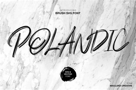 Polandic Svg Brush Font Stunning Script Fonts Creative Market