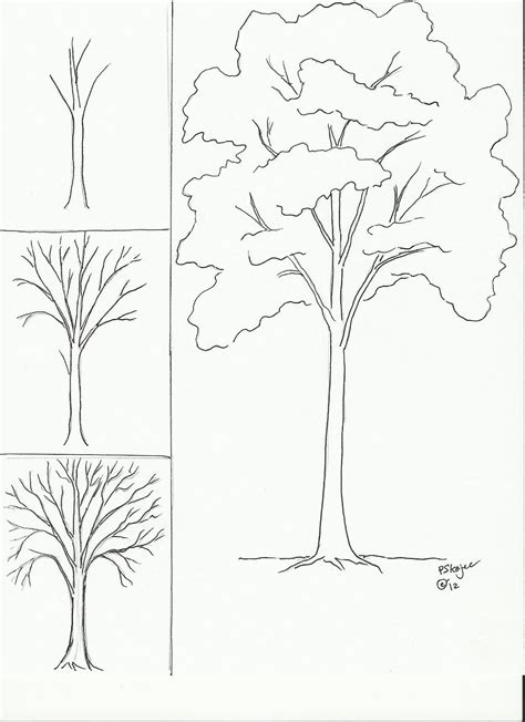 How To Draw A Real Tree Step By Step At Drawing Tutorials