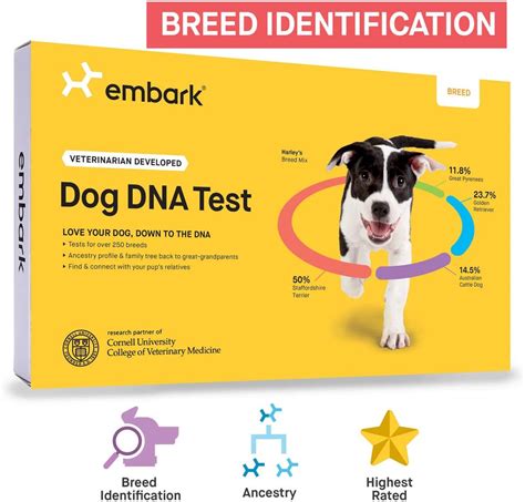 Embark Dog Dna Test Kit Breed And Genetic Ancestry Discovery At Home