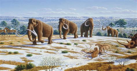While there are differing opinions about why this occurred, a few changes at the time played a part in their extinction. Revive & Restore - Woolly Mammoth Revival 2020