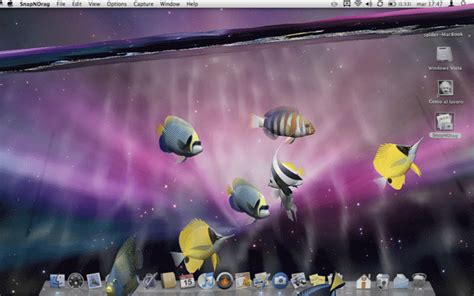 Desktop Aquarium 3d Un Acquario Tropicale Come Salvaschermo Spider Mac