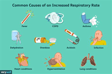 Normal Respiratory Rate For Adults And Children