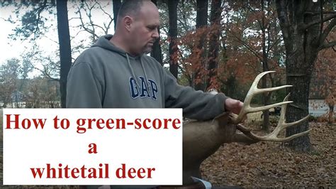 How To Score Measure A Whitetail Deer Youtube