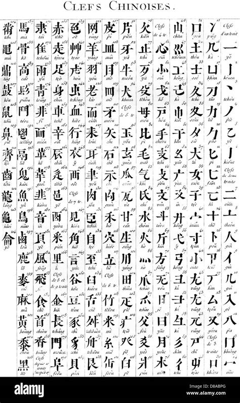 Alphabet Chinese Translator Ng