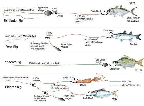 Beginners Guide To Setting Up A Fishing Line For Saltwater Bottom