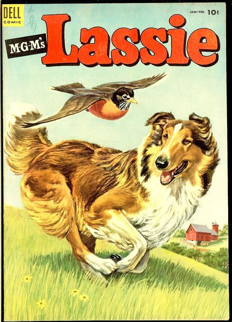 Lassie 14