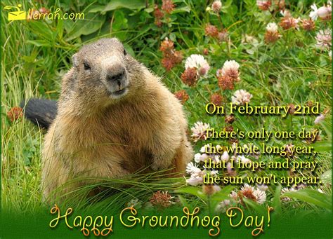 Happy Groundhog's Day Groundhog Day Gif, Groundhog Pictures, Animal