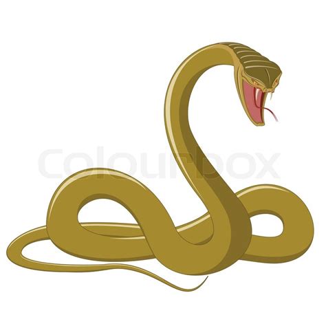 Angry Snake Isolated On White Stock Vector Colourbox