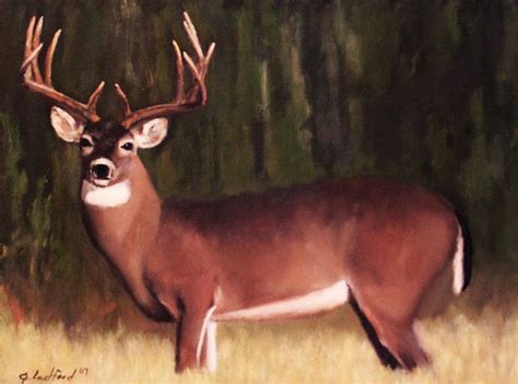 White Tailed Buck Deer Painting By Glenn Ledford Fine Art America