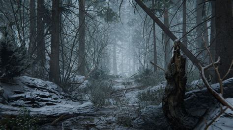 Winter Forest Environment Winter Forest Haunted Forest Dark Forest