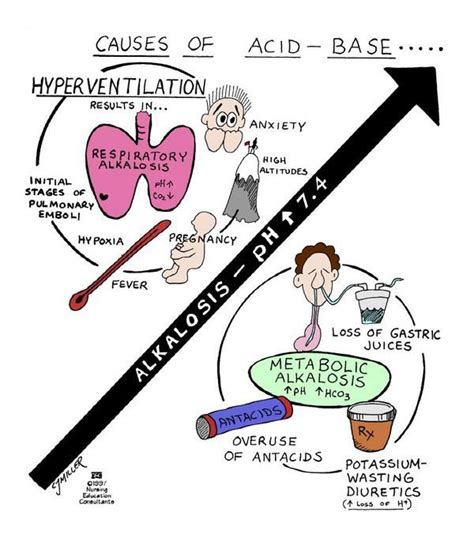 Causes Of Acidosis Alkalosis Nclex Pinterest Nclex