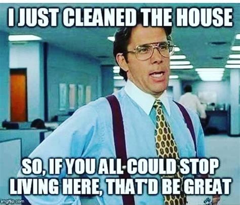 Funniest Cleaning Memes
