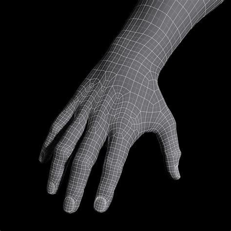 3d Hand Wireframe Male Body Body Anatomy Body