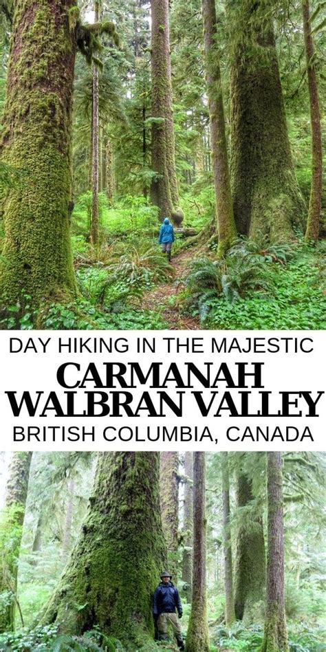 A Complete Guide To Carmanah Walbran Provincial Park Vancouver Island