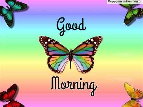 Beautiful Good Morning With Butterflies