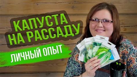#капуста КОГДА ПОСАДИТЬ КАПУСТУ В МАЕ 2024 ГОДА В... | Интересный ...