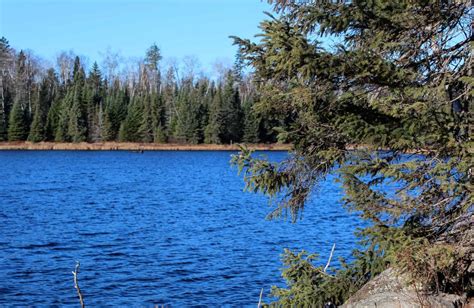 State report: Headwaters region in northern Minnesota has 'exceptional' water quality | Quetico ...