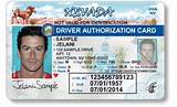 Images of Sample Illinois Drivers License