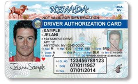 Arizona id card for non residents. Non Resident Alien Drivers License - everwinter