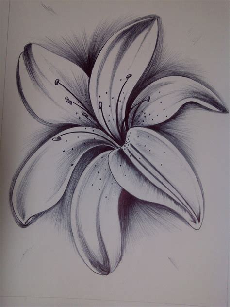 Black And White Flower Drawing With Intricate Details