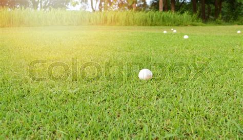 Golf Ball On Green Grass Of Golf Course Stock Image Colourbox