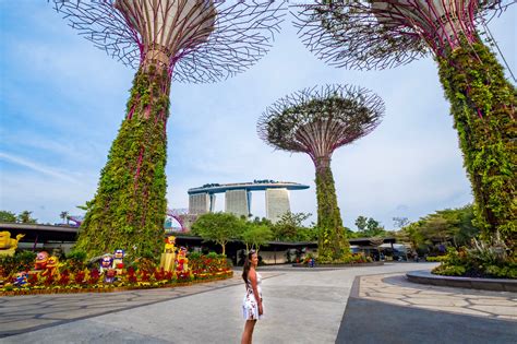 Gardens by the Bay Photography Tips & Best Photos • The Travelling Stomach