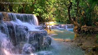 Waterfall And Jungle Sounds 2 Relaxing Tropical Rainforest