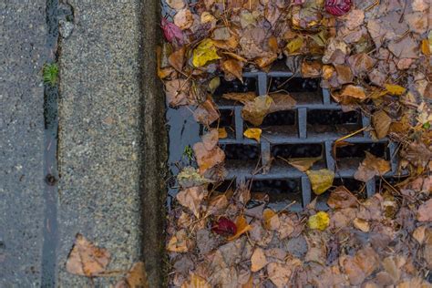 Streets, drainage and building act 1974. Tips for a Blocked Stormwater Drain - Collin's Plumbing