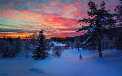 Hd Pink Sunset On The White Snow Wallpaper Download Free