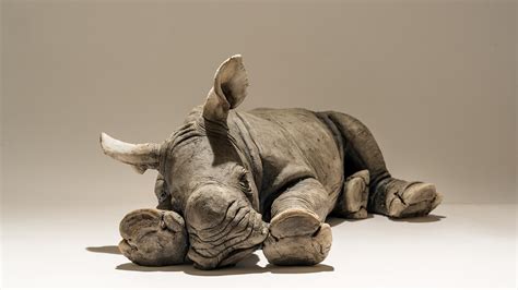 Baby Rhino Sculpture 3a Nick Mackman Animal Sculpture
