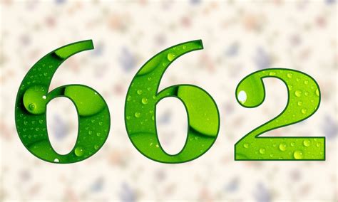 662 — шестьсот шестьдесят два натуральное четное число в ряду натуральных чисел находится