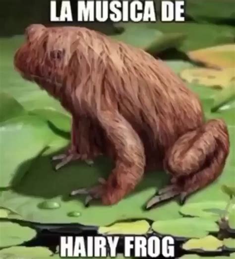 La Musica De Hairy Frog