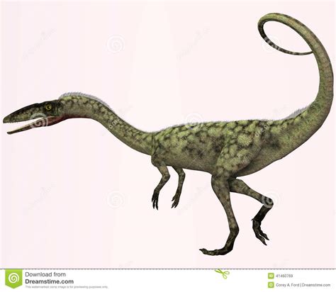 Check spelling or type a new query. Perfil del Coelophysis stock de ilustración. Ilustración ...