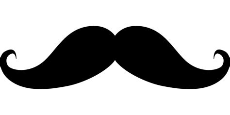 Moustache Png Transparent Image Download Size 1280x640px