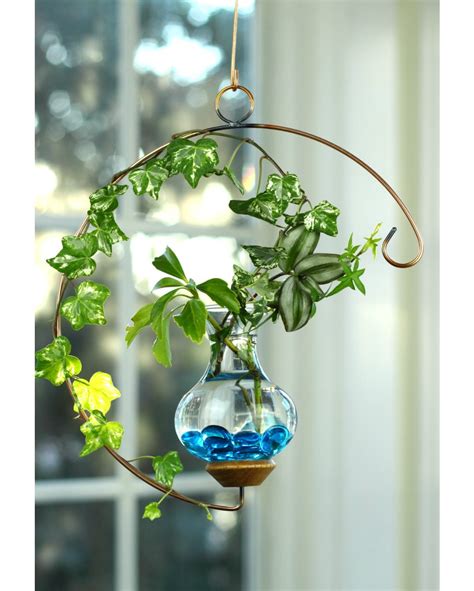 Crescent Hanging Water Garden Live Plants Included Vermont Nature
