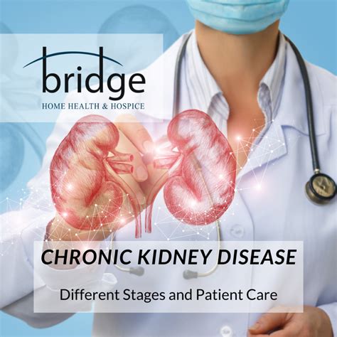 Chronic Kidney Disease Different Stages And Patient Care Bridge Home