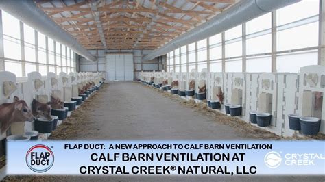 A New Approach to Calf Barn Ventilation - YouTube