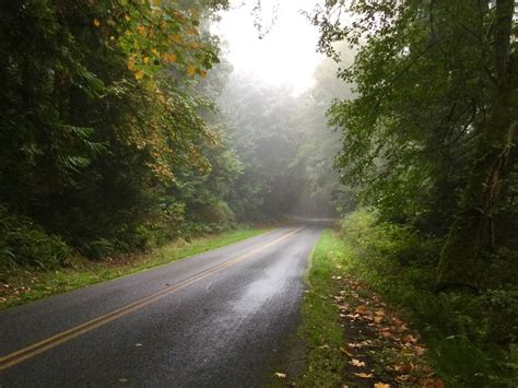 Enchanted Forest Road - Life on Orcas Island