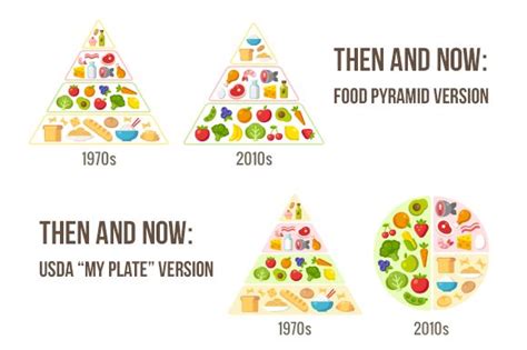 Food Pyramid Infographic Set Food Pyramid Paleo Food Pyramid Pyramids
